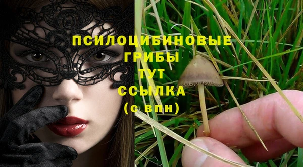 бошки Ладушкин