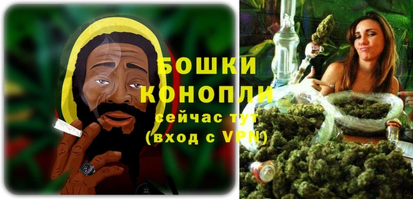 бошки Ладушкин