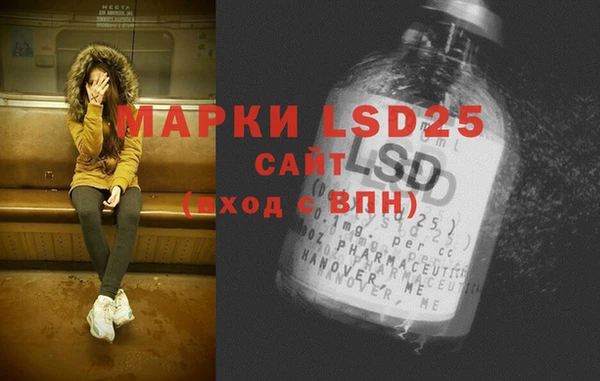 бошки Ладушкин