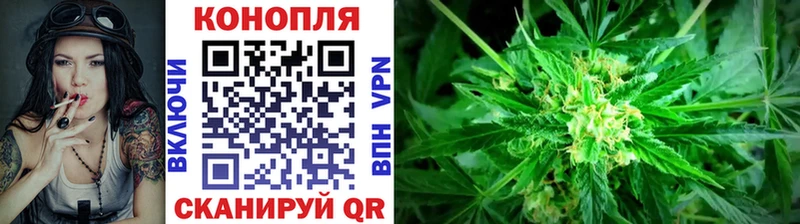 Бошки марихуана конопля  Алейск 